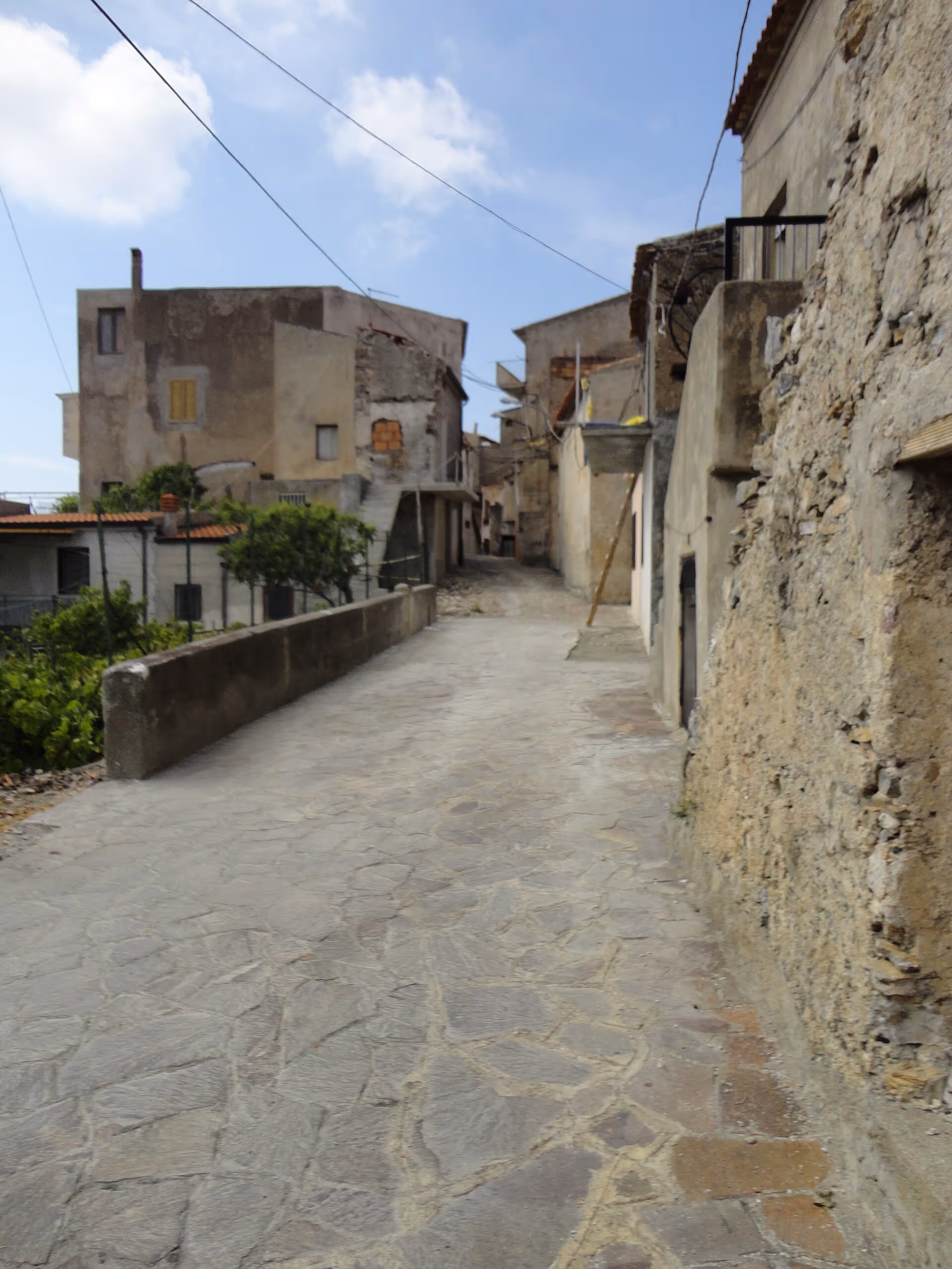 View of Grisolia.